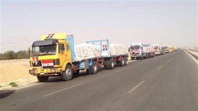 بتوجيهات الإمام الأكبر .. انطلاق قافلة طبية من الأزهر إلى قطاع غزة