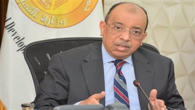 شعراوي: 15.6 ألف مشروعا صغيرا ومتوسطا نفذها 