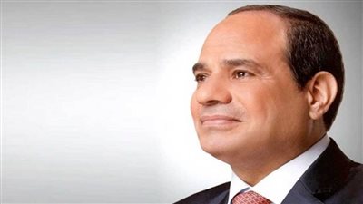 بتوجيهات من الرئيس السيسي.. مصر تساهم في السيطرة على الحرائق المندلعة بغابات قبرص