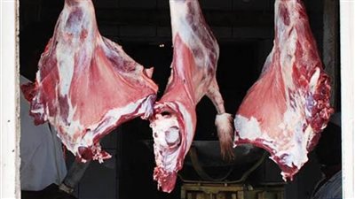 نائب وزير التضامن يُعلن أسعار اللحوم في عيد الأضحى (فيديو)