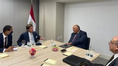 وزير الخارجية يشرح لرئيس مجلس الأمن الموقف المصري في أزمة سد النهضة