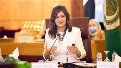 الهجرة تطالب المصريين العالقين بالإمارات بتسجيل بياناتهم لتيسير العودة لمصر