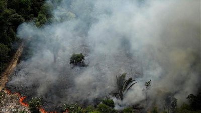 مصر تعزى أسر الضحايا الأتراك بحرائق الغابات.. وتؤكد تضامنها مع الشعب التركى