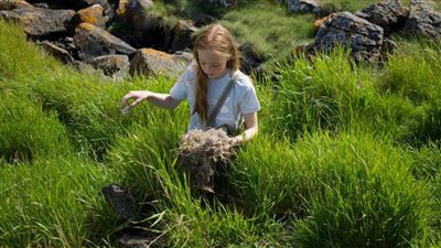 رحلة البحث عن أغلى ريش في العالم.. تعرف عليه