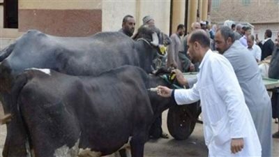 الزراعة: تحصين أكثر من 4.2 مليون جرعة ضد الحمي القلاعية والوادي المتصدع 