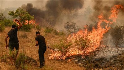 العالم يشتعل.. كيف تتصدى الدول لوقف كارثة الحرائق؟ 