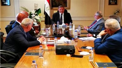 وزير قطاع الأعمال: نستهدف الوصول بمنتجات القطن المصري للأسواق العالمية 