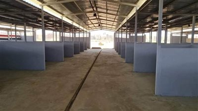 بالصور | جهاز العبور: تلقي طلبات حجز باكيات بـ