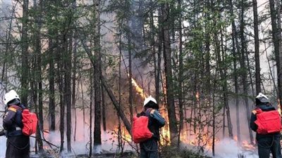 عاجل..حرائق شديدة تجتاح مناطق في وسط روسيا 