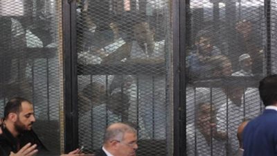 السجن المشدد 7 سنوات لمتهم في خلية بولاق الدكرور