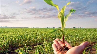 بالإنفوجراف | أنشطة مديريات الزراعة والطب البيطري في أسبوع