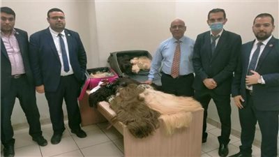 جمارك مطار القاهرة تضبط محاولة تهريب  55 كيلو من الشعر الطبيعى