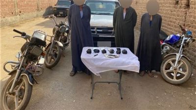 الأجهزة الأمنية: سقوط «عصابة أبو تيج» لجلب وترويج الأفيون بأسيوط  