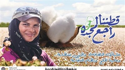  في ثاني مزاد للقطن..  سعر القنطار يصعد إلى 3865 جنيها