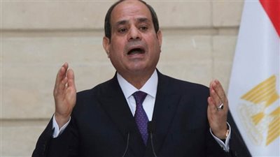 بالفيديو | الرئيس السيسي: 2011 كانت إعلان لشهادة وفاة الدولة المصرية