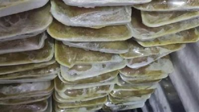 ضبط مخزنين للمواد الغذائية «غير مرخصين» في القاهرة 