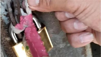 غلق وتشميع أكبر مراكز للدروس الخصوصية ببورسعيد