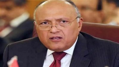 وزير الخارجية يُجري اتصالًا هاتفيًا بنظيره الإسرائيلي 