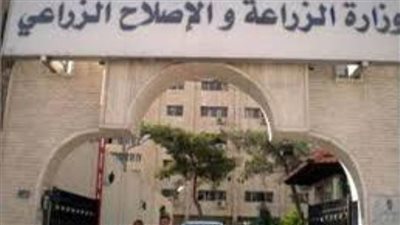 الزراعة تكشف حقيقة ارتفاع اسعار  الخضروات والفاكهة والأسماك بالأسواق