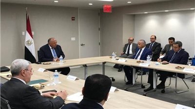 صور| تفاصيل لقاء سامح شكري بـ«وزيرة خارجية» إستونيا في نيويورك
