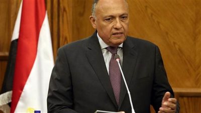 شكري يبحث تعزيز العلاقات الثنائية بين مصر وكوريا الجنوبية