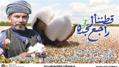 بيع 4.9 ألف قنطار في أول مزاد للقطن بكفر الشيخ