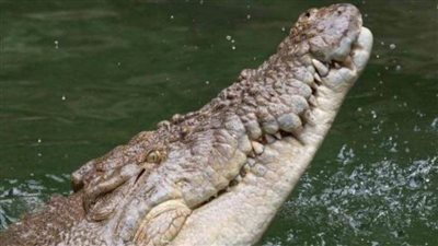 العثور على بقايا رجل فقد خلال 