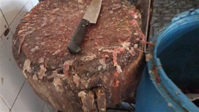 الصحة: ضبط وإعدام 1462 طن أغذية متنوعة ولحوم فاسدة  بـ 6 محافظات 