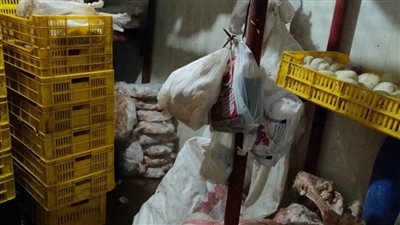 ضبط 184 طن لحوم ودواجن وأسماك غير صالحة للاستهلاك الآدمي