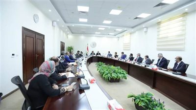 د. خالد عبدالغفار يرأس اجتماع مجلس شئون فروع الجامعات الأجنبية 