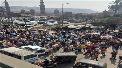 حملة مكبرة لضبط بائعي الزواحف بـ«سوق الجمعة» 
