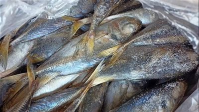 ضبط 3 أطنان أسماك فاسدة في الجيزة