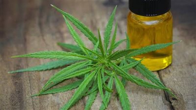 ضبط راكب في مطار القاهرة بحوزته زجاجات بها سائل الماريجوانا المخدر