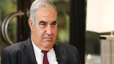 رئيس المحكمة الدستورية: الرئيس السيسى وجه بدخول العدالة الالكترونية في جميع دور العدالة المصرية 