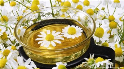 تعرف على فوائد البابونج