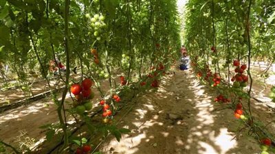 وزير الإسكان: بدء تنفيذ مشروعات تطوير موقع التجلى الأعظم بسانت كاترين بتكلفة تقدر بـ  3 مليارات جنيه