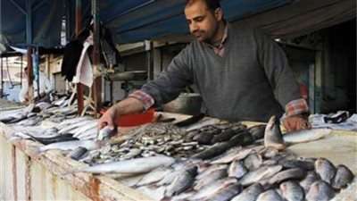 أسعار الأسماك في الأسواق اليوم الثلاثاء 12 أكتوبر 2021