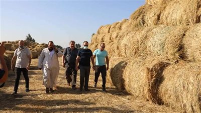 رئيس جهاز شئون البيئة يتفقد منظومة مكافحة نوبات تلوث الهواء الحادة بالشرقية والدقهلية 