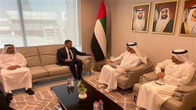 لتيسير التعاون الاستثماري.. تشكيل مجموعة عمل دائمة بين مصر والإمارات (صور)