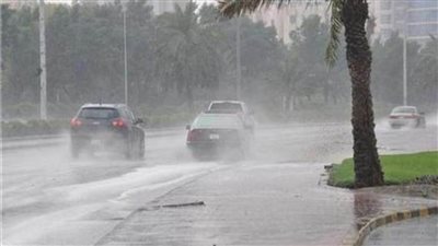 أمطار ورياح.. «الأرصاد» تقدم نصائح لتجنب التقلبات الجوية .. تعرف عليها  