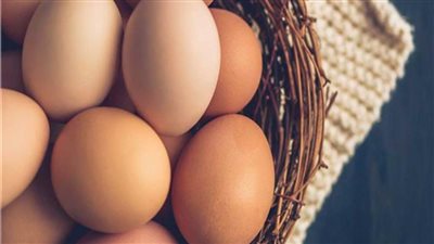 انخفاض أسعار البيض اليوم في المنافذ الحكومية 