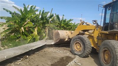 استمرار حملات إزالة التعديات علي الاراضي الزراعية بجنوب بورسعيد