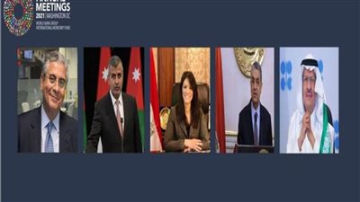 وزيرا التعاون الدولي والكهرباء يناقشان السوق العربية المشتركة للكهرباء 