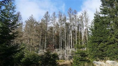 لمواجهة تغير المناخ.. الحل في 