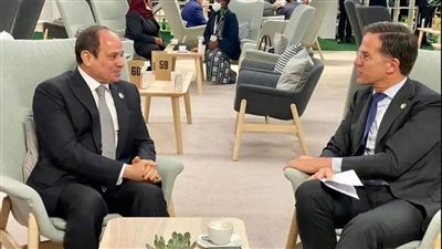 الرئيس السيسي يبحث الاستفادة من الخبرات الهولندية في مشروعات الرى والزراعة