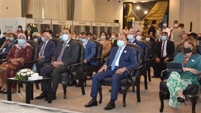 إشادة دولية لمصر بنجاح تنظيم احتفالية يوم المدن العالمى بالأقصر