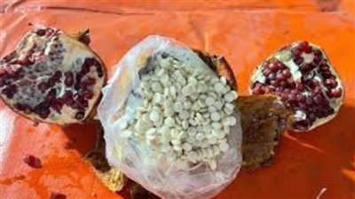 أجهزة الأمن تحبط تهريب مخدرات بـ 7.5 مليون جنيه