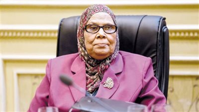 آمنة نصير: دعوات منع الإنجاب عبث ومخالفة للدين