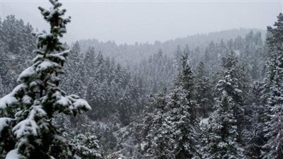 جبال روكي تبوح بـ