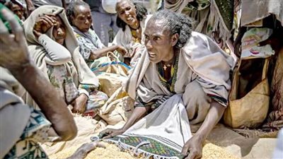 إثيوبيا تدعو الشباب للانضام إلى الجيش من أجل التصدي لزحف المعارضة